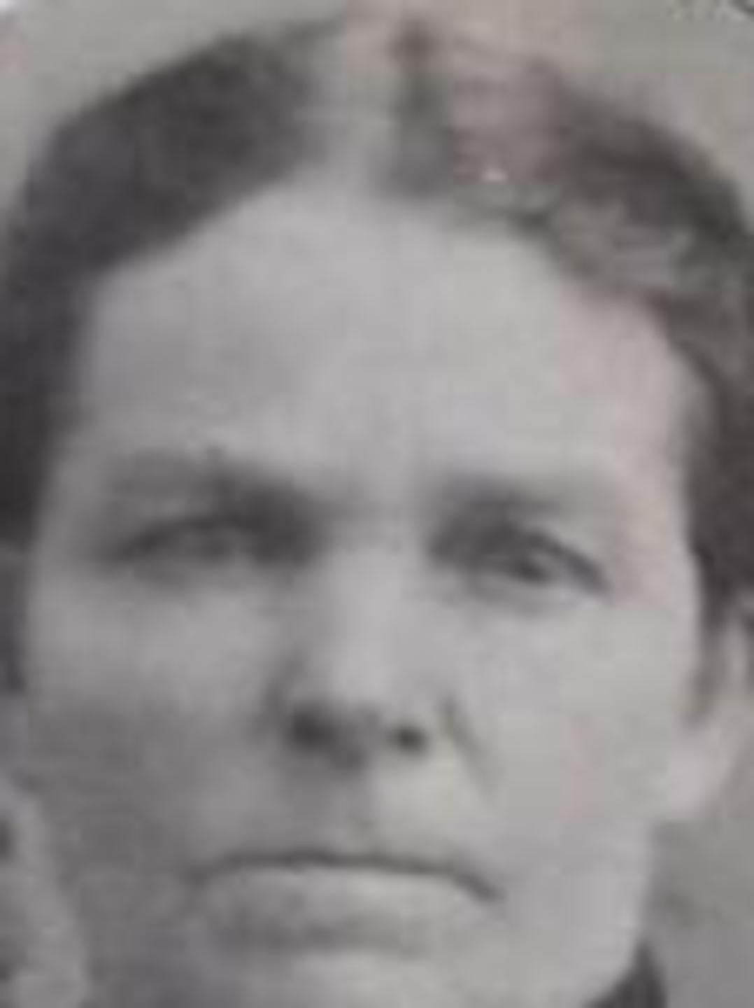Lucy Anna Olney (1830 - 1909) Profile